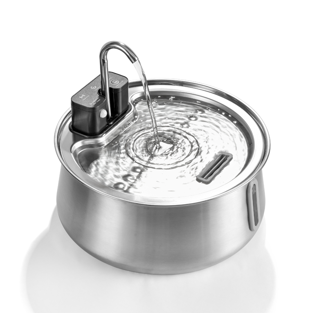 Wireless 2.0 Fountain Value Bundle