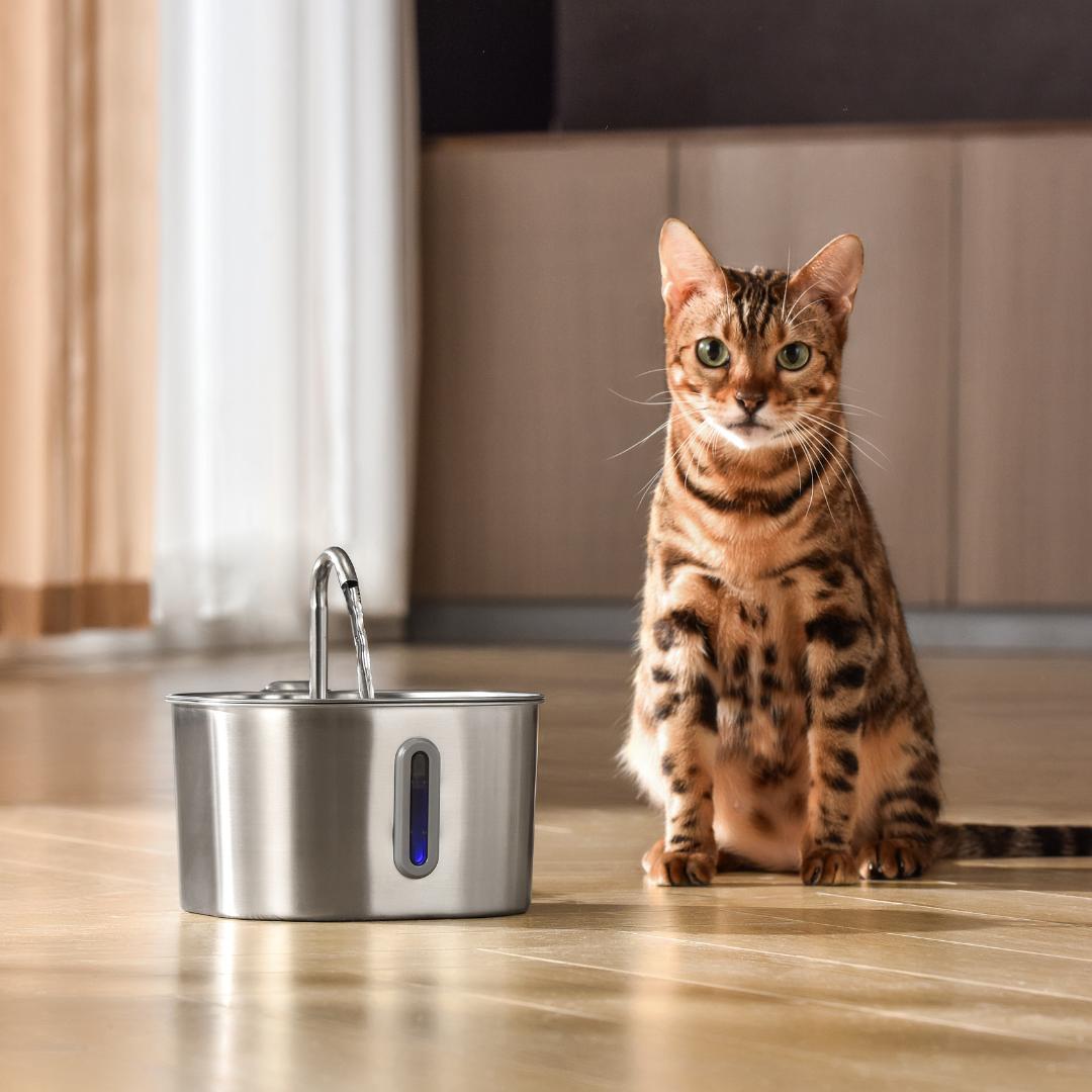 2.2L Fountain Multi-Cat Family Bundle