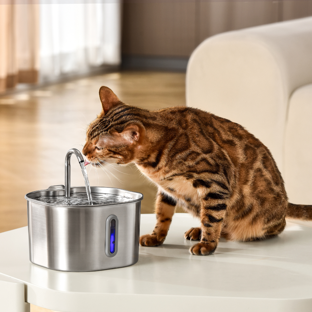 2.2L Fountain Premium Value Bundle