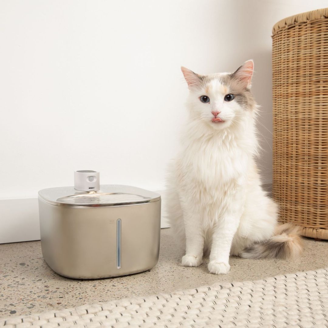 Wireless Fountain Value Bundle