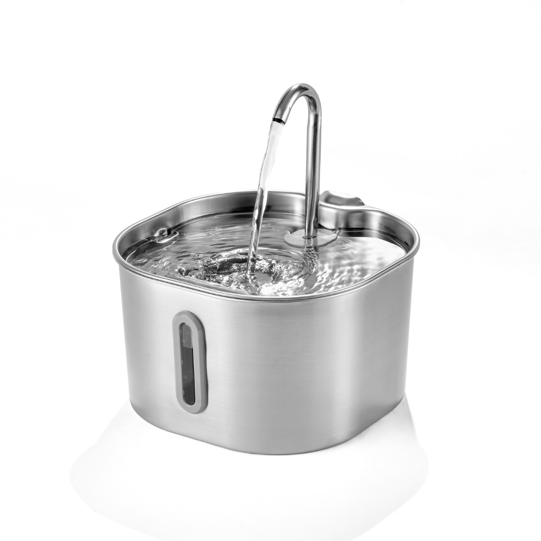 2.2L Fountain Complete Care Kit