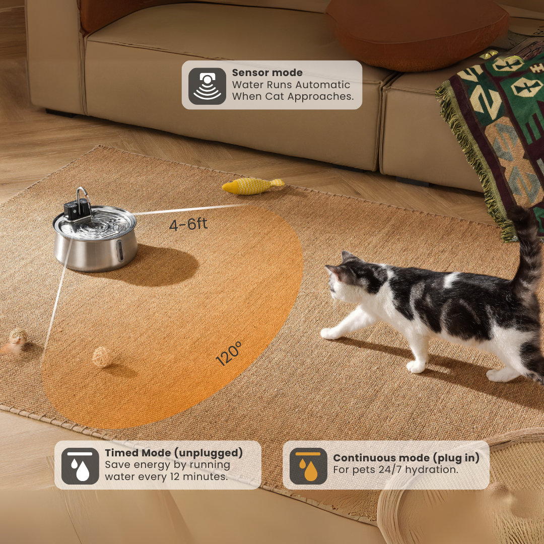 Wireless 2.0 Hydration & Play Bundle