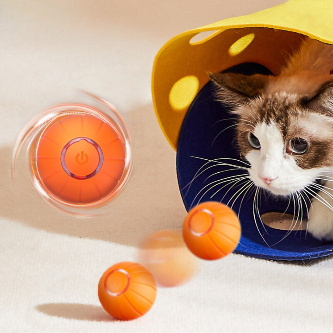Smart Interactive Cat Ball