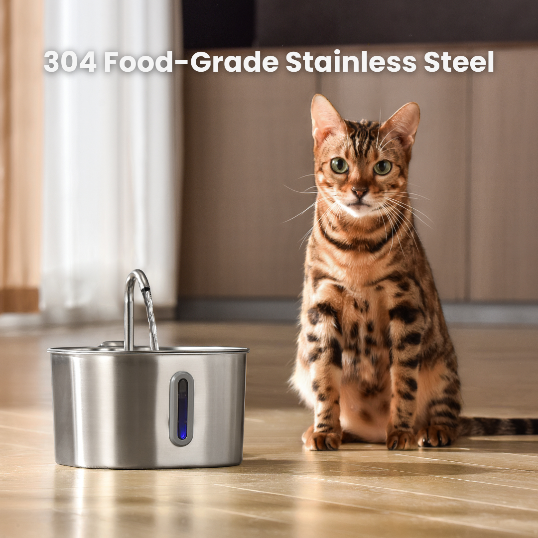 2.2L Fountain Hydration & Play Bundle