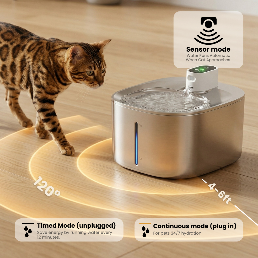 Wireless Hydration & Play Bundle