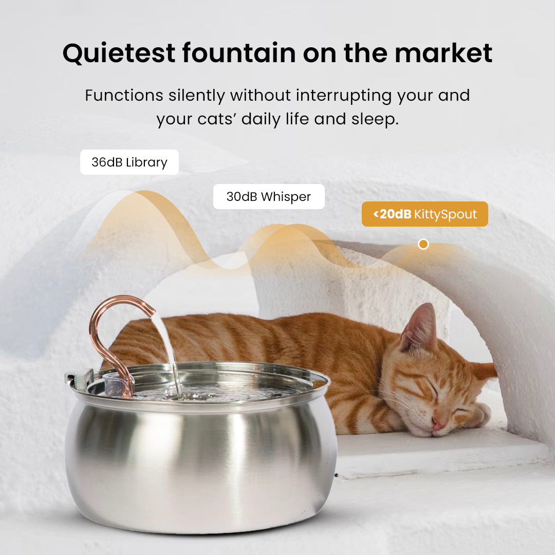 4L Fountain Complete Care Kit