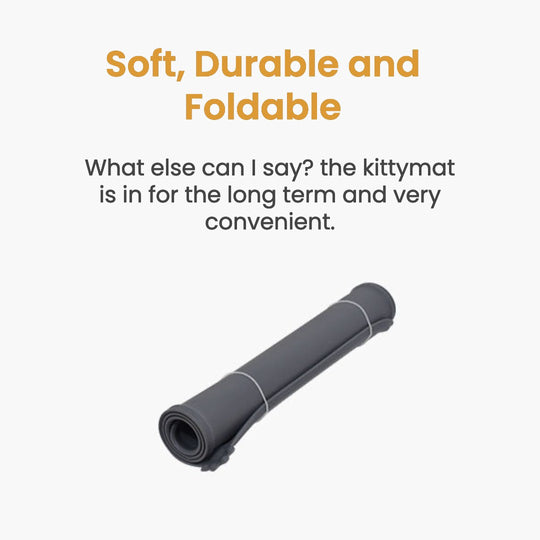 Wireless Fountain Complete Care Kit