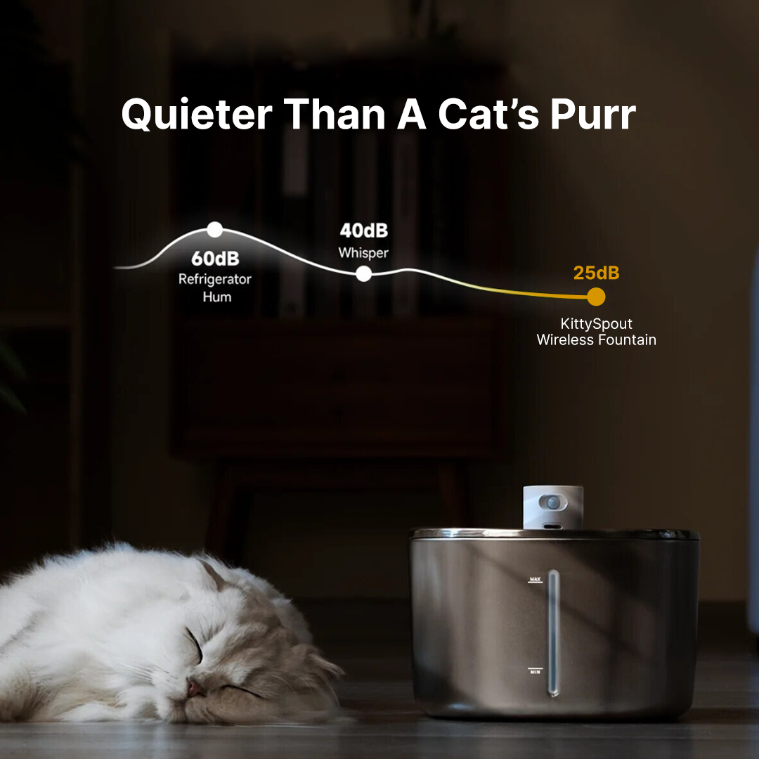 Wireless Fountain Value Bundle
